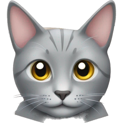 Grey Cat in box emoji