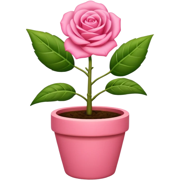Una planta bonita, con su masetá color rosa emoji