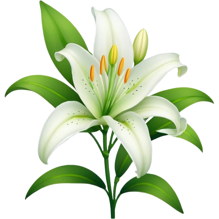 White lily emoji