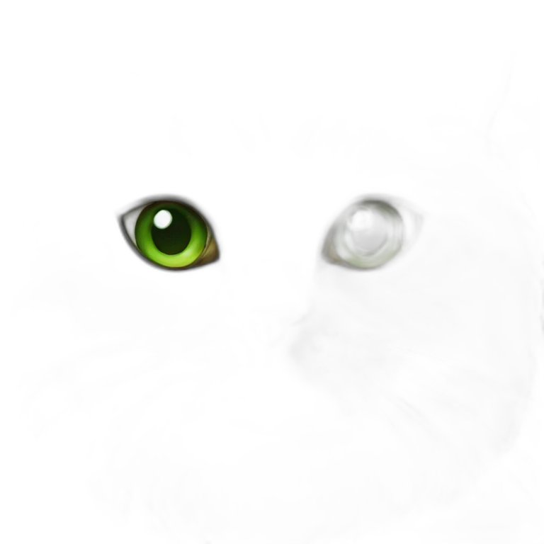 silver persian cat with green eyes emoji