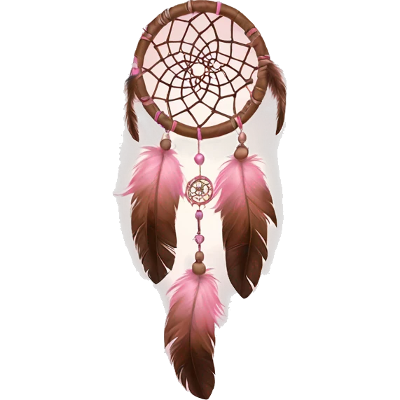  pink and brown dream catcher with feathers  emoji