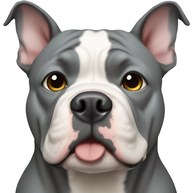 gray american bully emoji