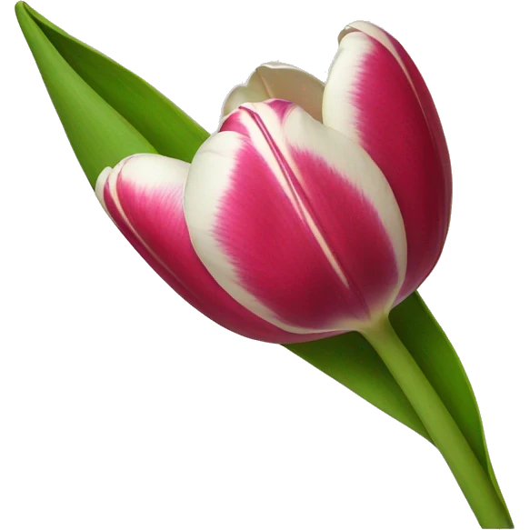 Tulip emoji