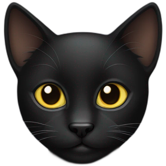 A black cat emoji