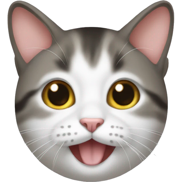 사람인데 고양이 emoji