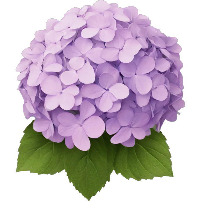 hydrangea emoji