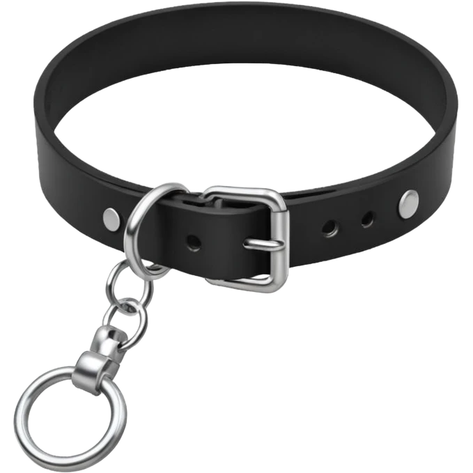 Collar – black leather with silver O-ring. emoji