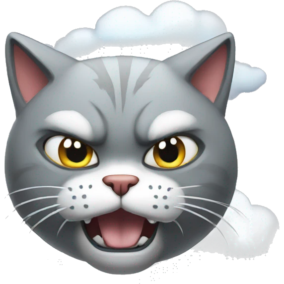 angry cat with cloud emoji