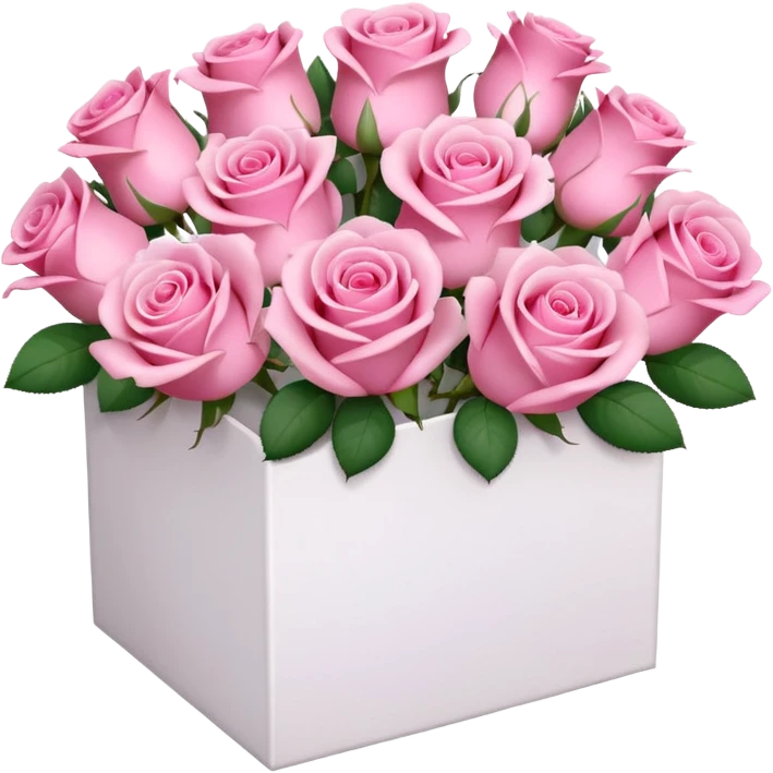 bouquet of pink 30 roses in a white box，no leaves emoji