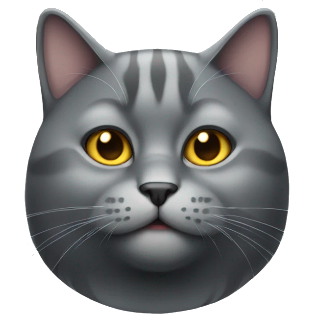 A fat grey dark grey cat emoji
