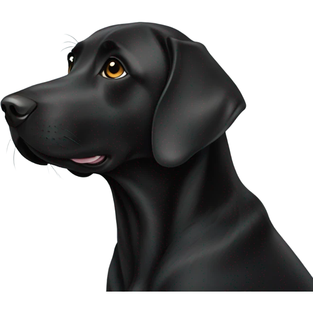 Black lab at the doctor emoji