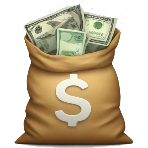 Money in a bag  emoji