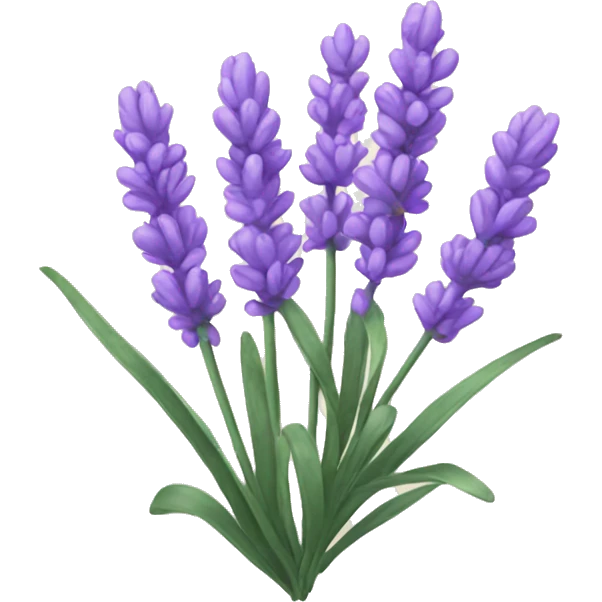 Lavender emoji