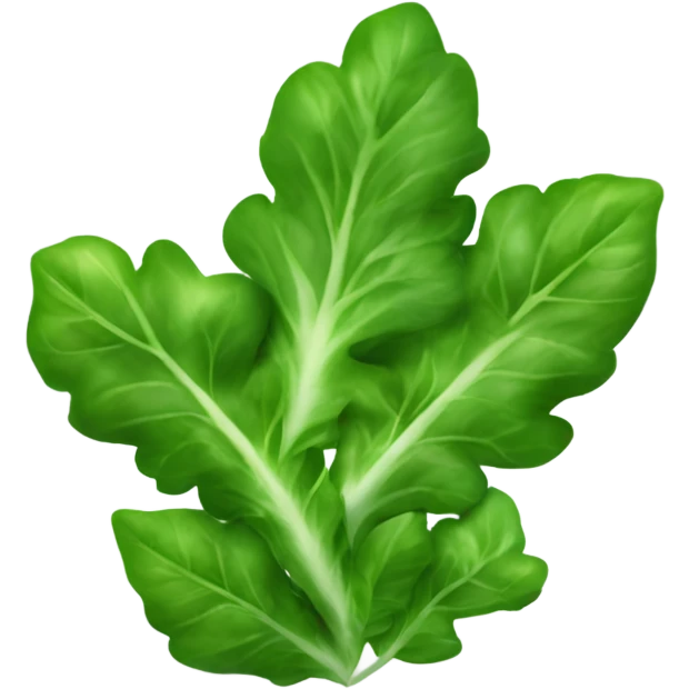 ruccola salad one lief emoji