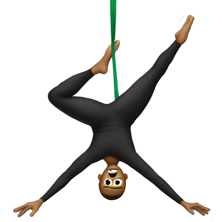 Man aerial silks  emoji