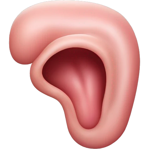 “A detailed illustration of a human stomach, with its curved shape, inner lining, and digestive features, showing subtle shading and a natural pinkish hue.” emoji