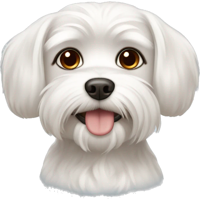 Maltese dog with brown ears emoji