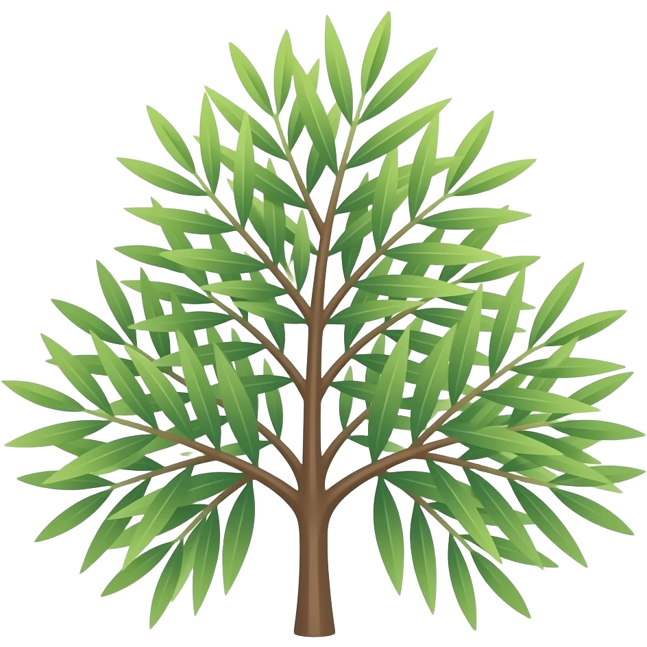 queensland bottle tree, thin stick stem, stick-like thin leaves, sparse, widely spaced apart, 3 leaves on each side, soft emoji