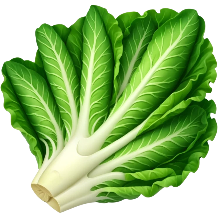 Romaine salad with no tomatoes emoji