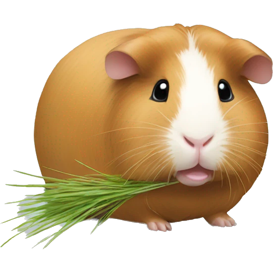 Guineapig eating  a strand of long grass hay  emoji