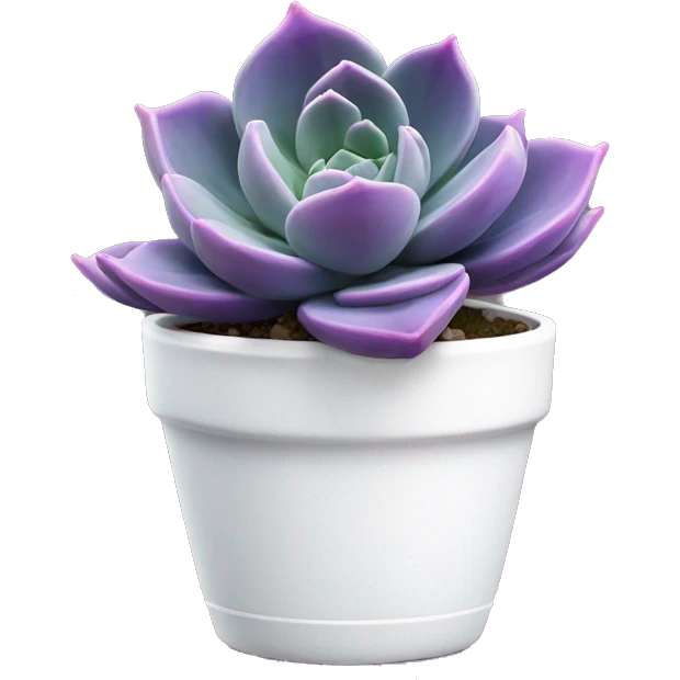 Purple echeveria succulent in white pot emoji