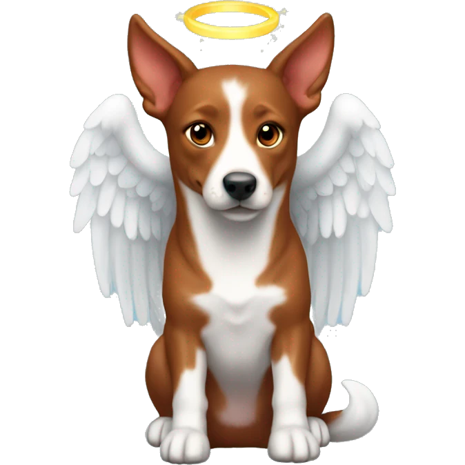 Red kelpie dog with angel halo emoji