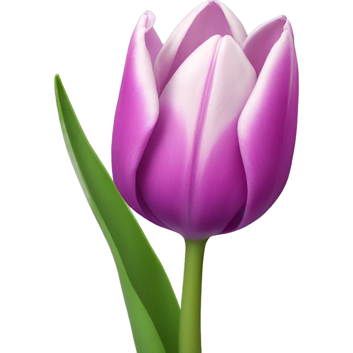Tulips  emoji