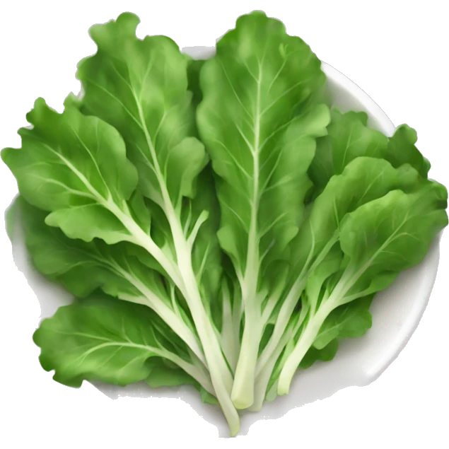 arugula salad emoji