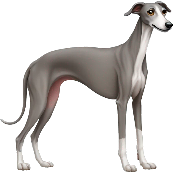 galgo emoji