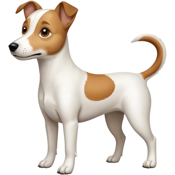 a full body white jack russel looking dog the size of a kelpie with light brown ears and a light brown patch on one eye, flopped down ears and a large snout emoji
