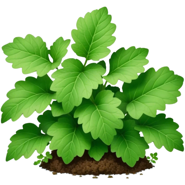 Ground Ivy emoji