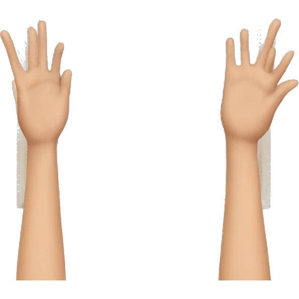 Two hands making a square frame with the fingers emoji