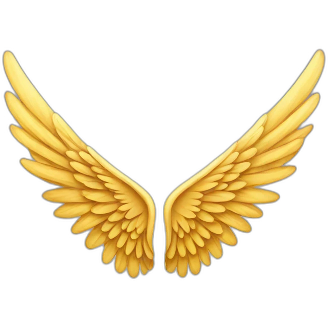 Two wings emoji