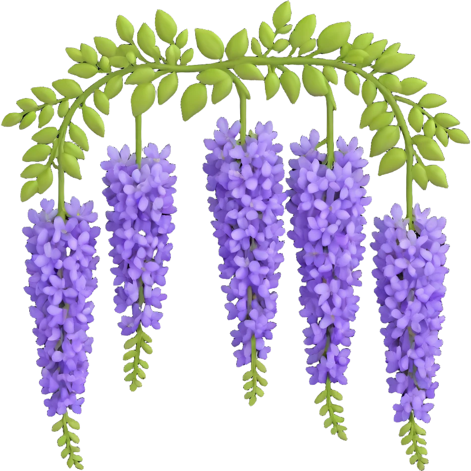 Detailed wisteria blossom with hanging clusters of lavender flowers in pendulous racemes and delicate green foliage emoji