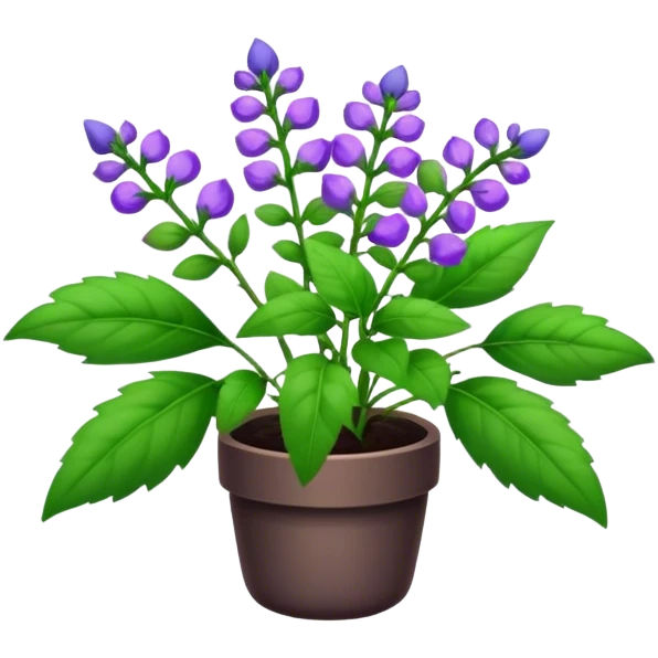 Skullcap plant  emoji