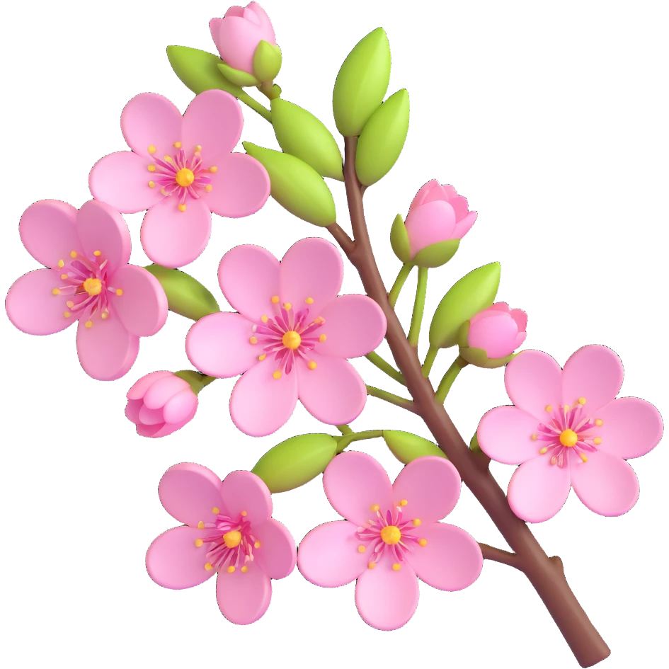 Add dewdrops on the cherry blossom flowers and branch, keep the background transparent, in iOS 3D emoji style. emoji