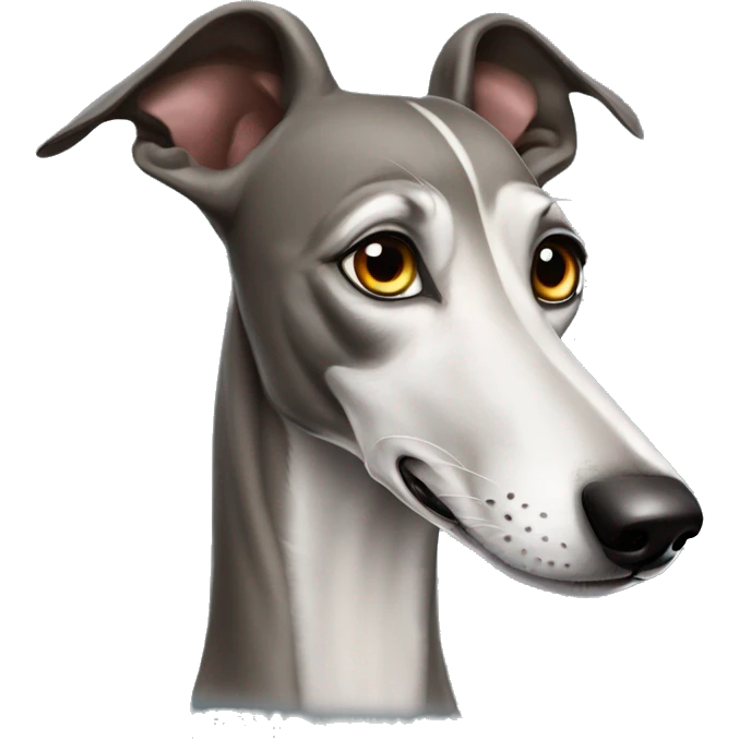 Russian greyhound dog with a very very long nose emoji