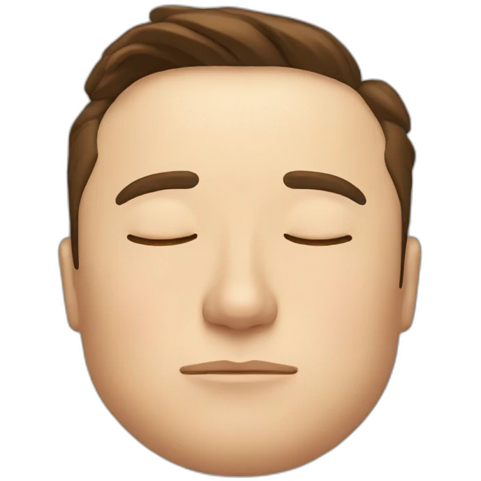 Elon musk sleeping emoji