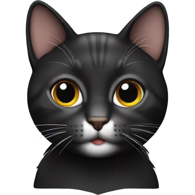 Cat black  emoji