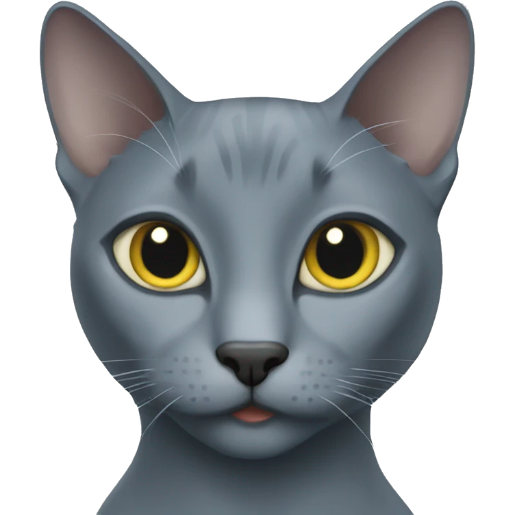 Russian blue cat emoji