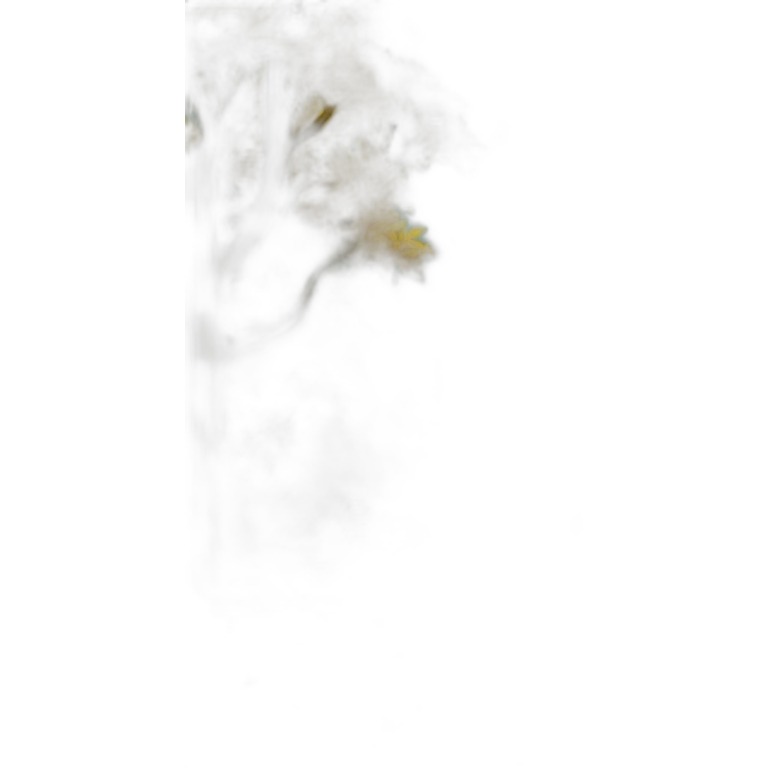 Feu de forêt emoji