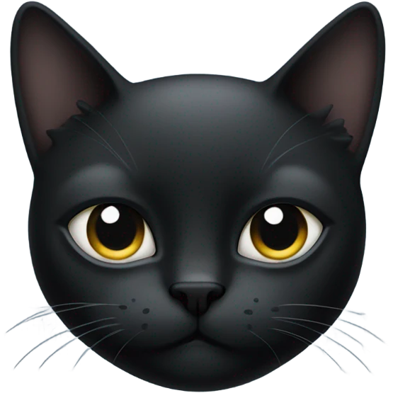 Black cat with cloudy blind right eye emoji