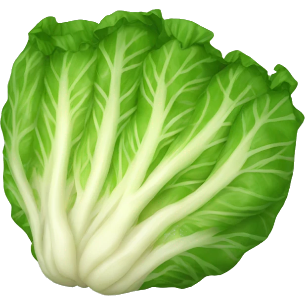 Stuffed cabbage emoji