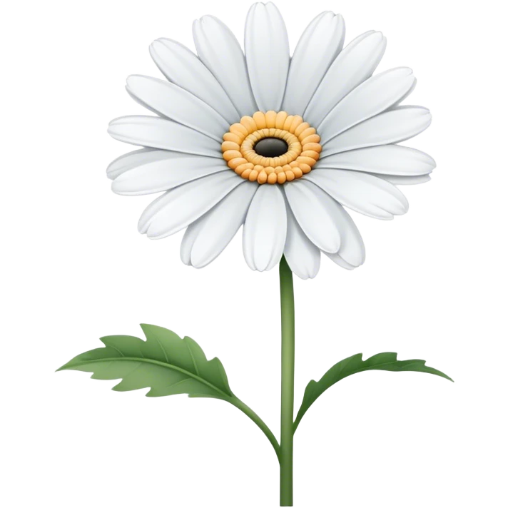 single White Gerbera Daisy, straight stem emoji