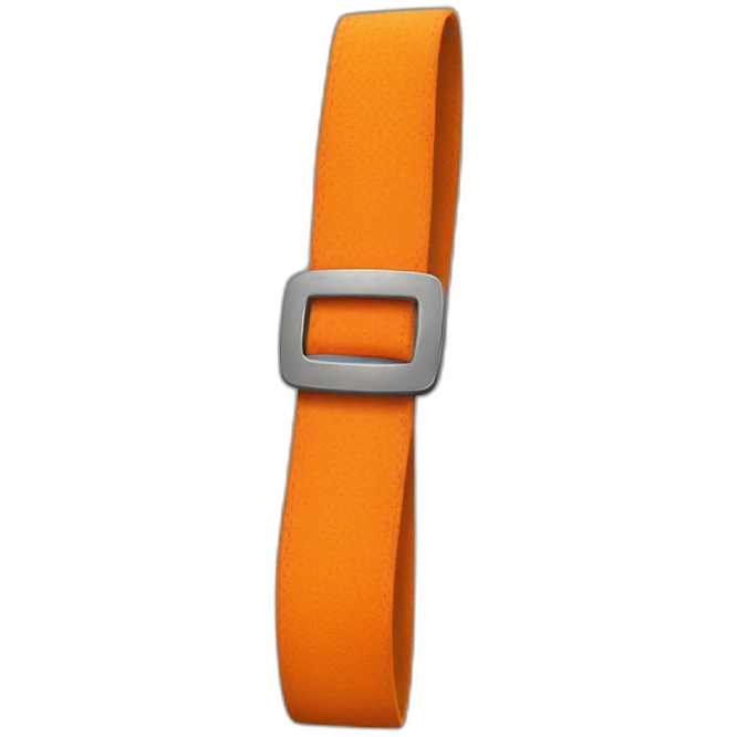 orange belt emoji