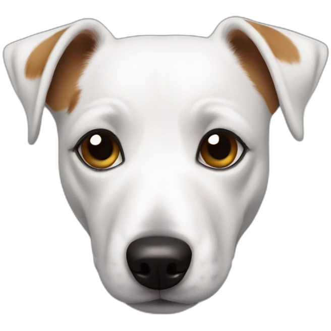 Jack Russell terrier llorando de la risa emoji