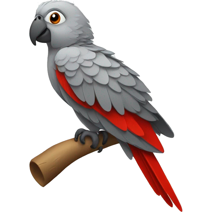 Gray parrot with red tail feathered  emoji
