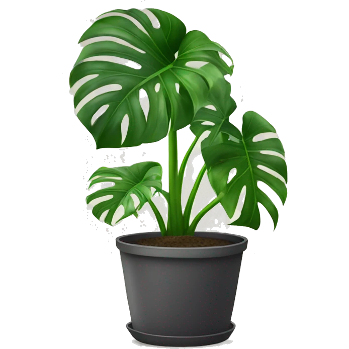 monstera in pot emoji