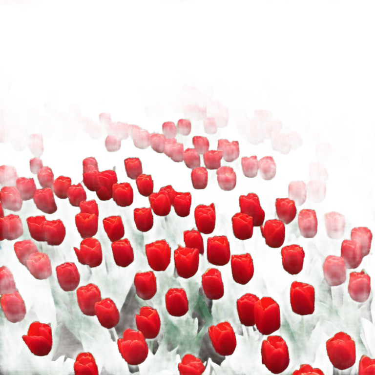 background composed of red tulips emoji