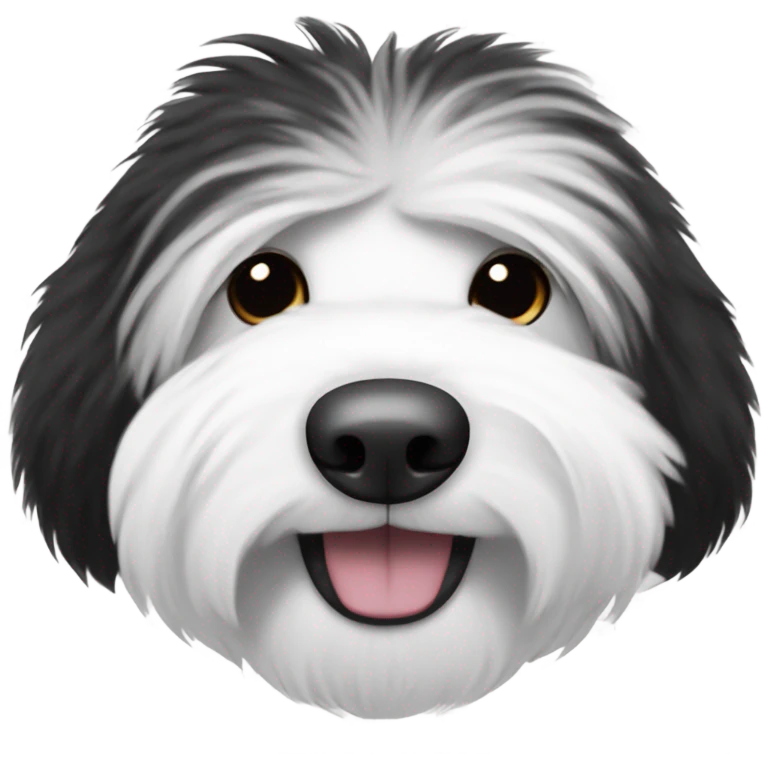Old English sheepdog with a half and half face like a black and white cookie emoji